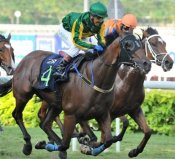 Speed Baby<br>Photo by Singapore Turf Club